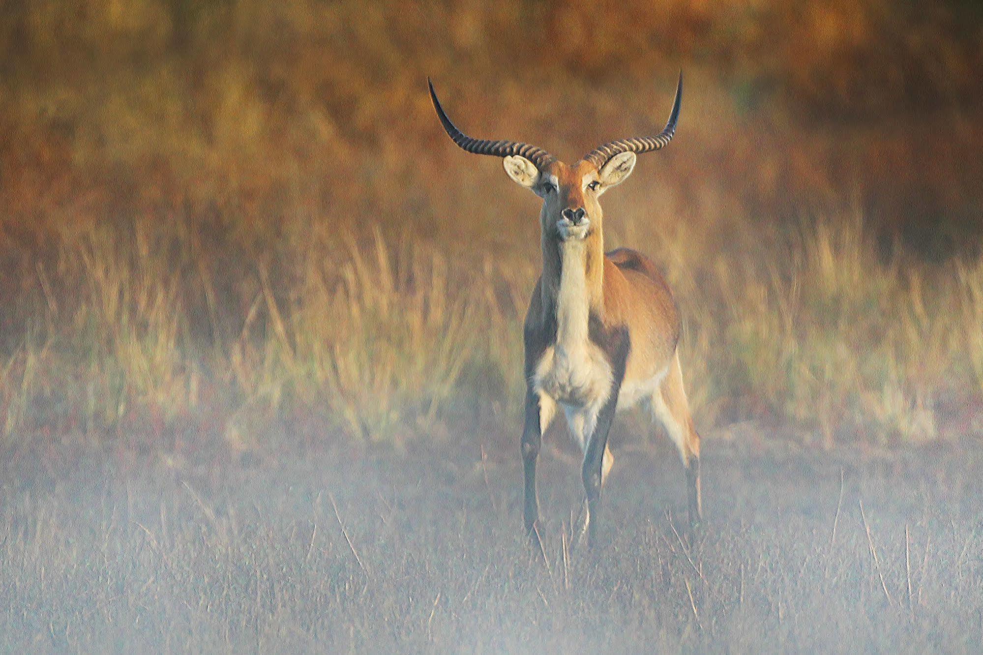 Bona Bona Game Lodge Wolmaransstad Экстерьер фото
