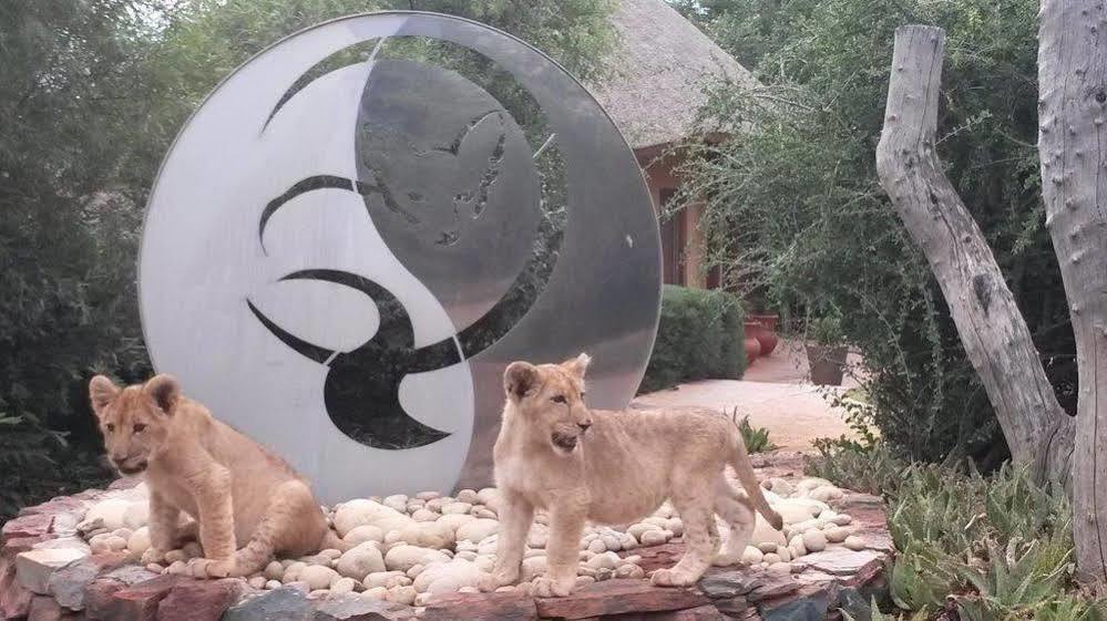 Bona Bona Game Lodge Wolmaransstad Экстерьер фото